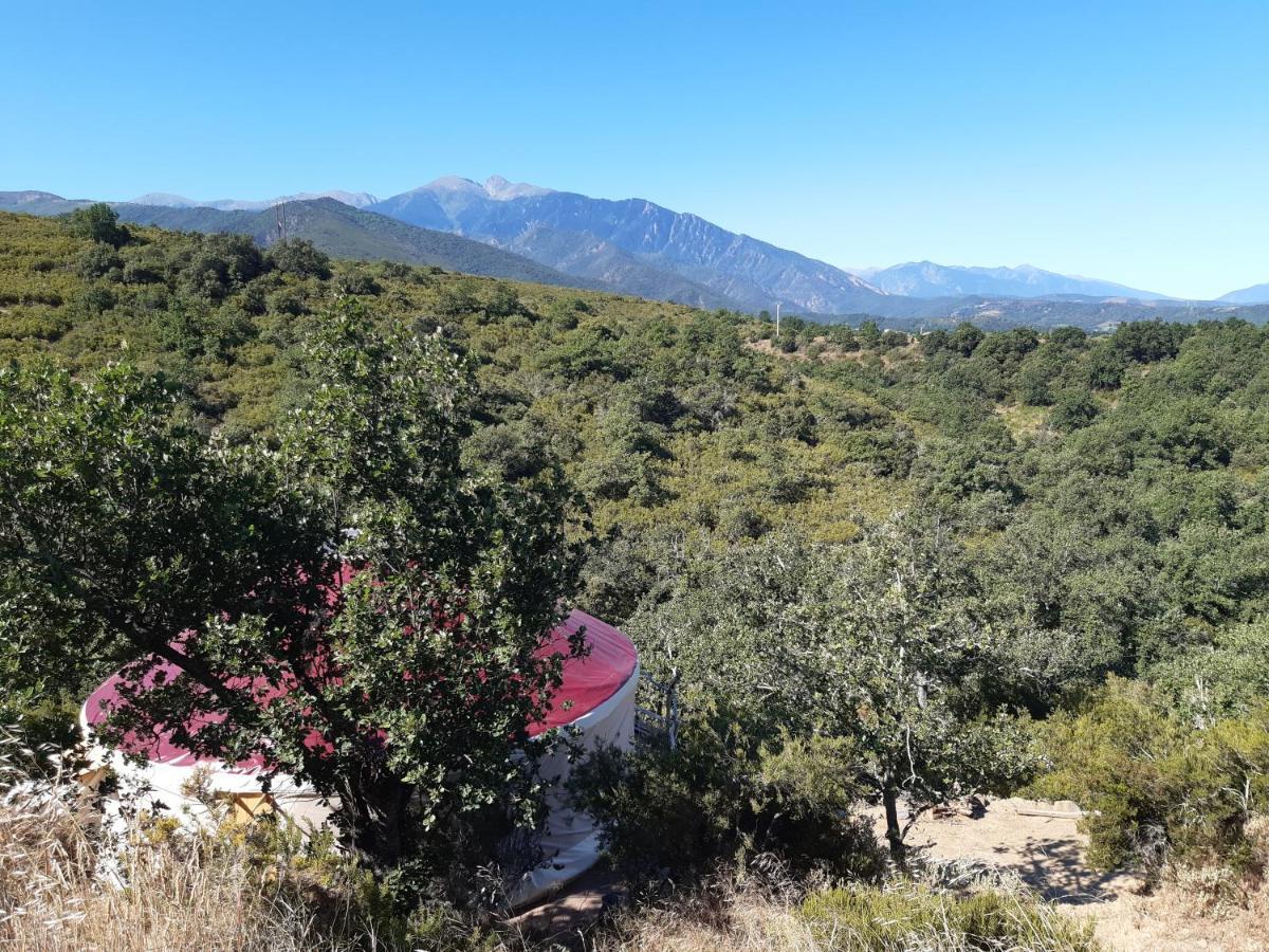 Yourte Contemporaine Avec Magnifique Vue Sur Les Montagnes Rigarda Exterior photo